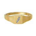 Stainless Carrot Steel Ring